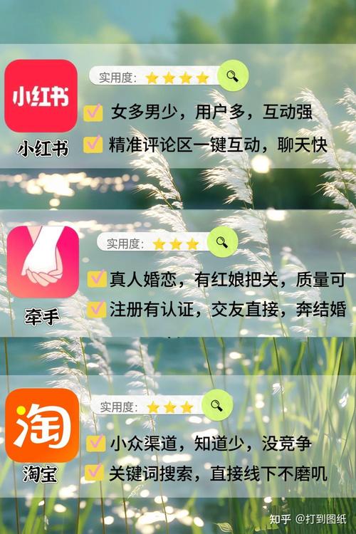 全网最全都市女友私密约版本大全：攻略玩法详解