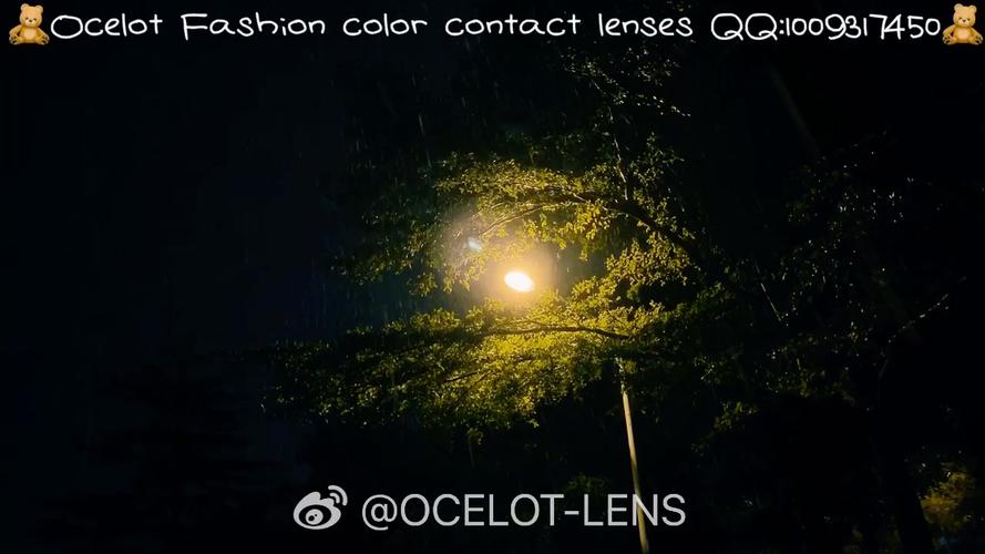 Rainnight雨安卓游戏测评：轻松休闲，值得一玩