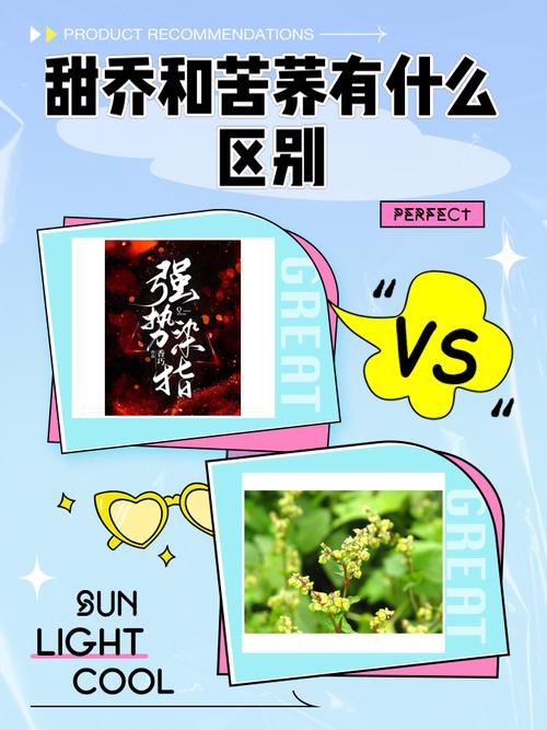 乔甜最新版本是多少?完整版下载地址分享