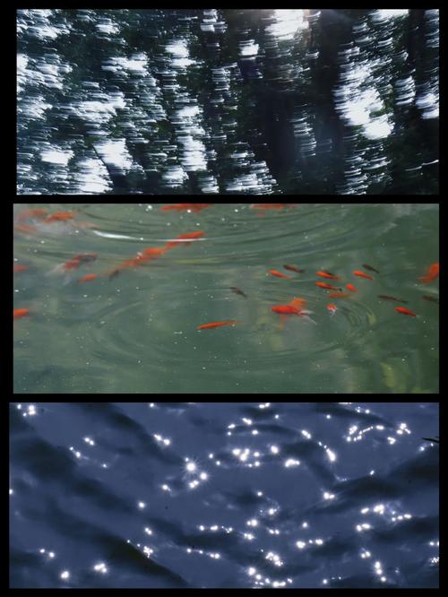 涟漪最新版本有哪些变化？深度解析来了