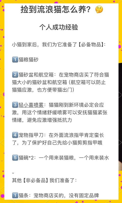 捡到千年猫游戏攻略：轻松解锁所有隐藏剧情方法