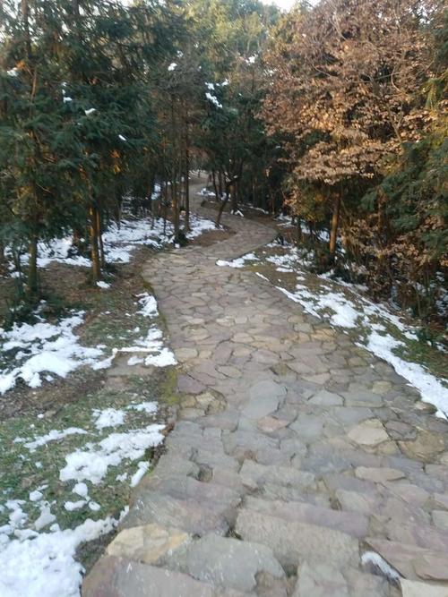 想知道激情公园最新版本？这里有你想要的答案！