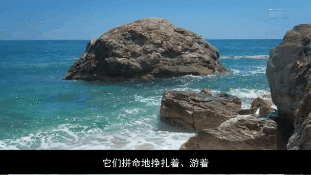 屌丝猎艳记1最新版本免费下载:精彩故事,不容错过