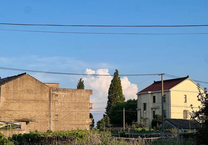 我的乡村生活官方网站:体验田园牧歌的悠然生活