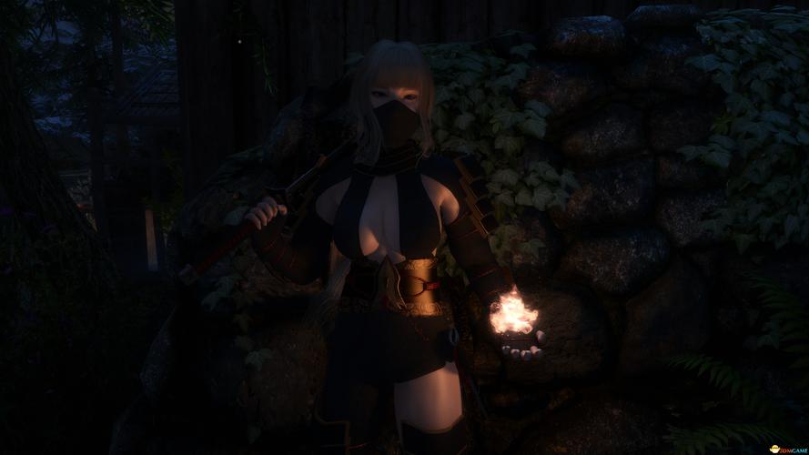 想玩忍堕?女忍调教版本大全助你找到游戏