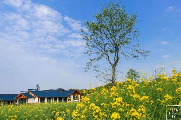 想知道激情公园最新版本？这里有你想要的答案！