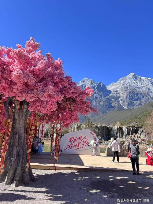 想玩转客栈第二季?欲望国度游戏攻略带你体验精彩