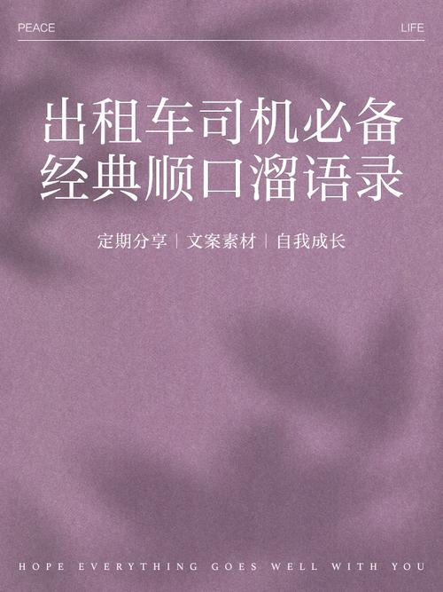 出租车司机最新版本详解:从新手到老司机的进阶之路!