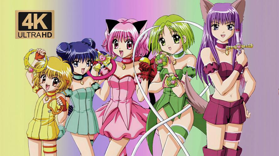 想玩猫研社?这里有你想要的全部版本!