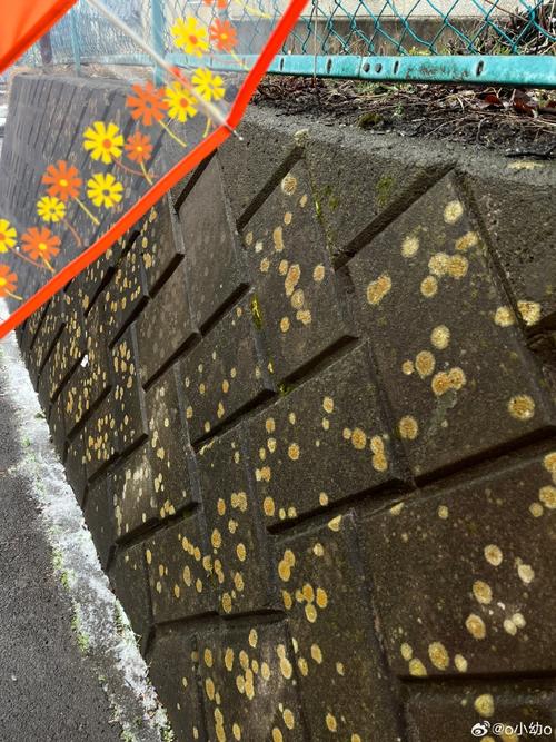 想下载雨季官方正式版最新版?这里有!