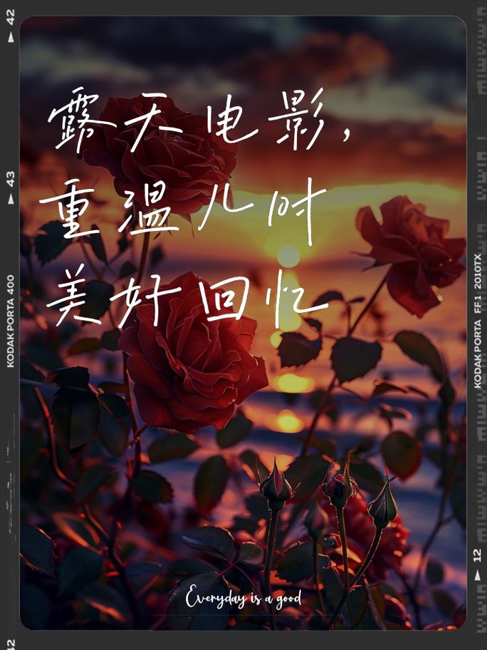 你的夏日甜蜜回忆:版本大全带你重温美好时光