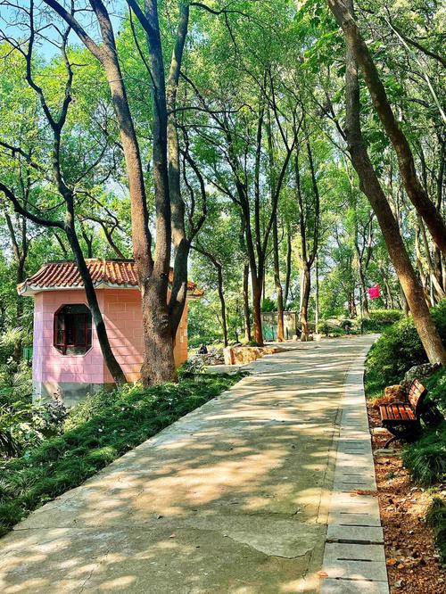 想知道激情公园最新版本？这里有你想要的答案！