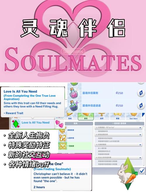 灵魂伴侣最新版本更新:完美爱情的全新定义