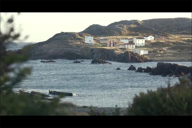 最新我的幸福人生1.0汉化版更新内容一览,不容错过!