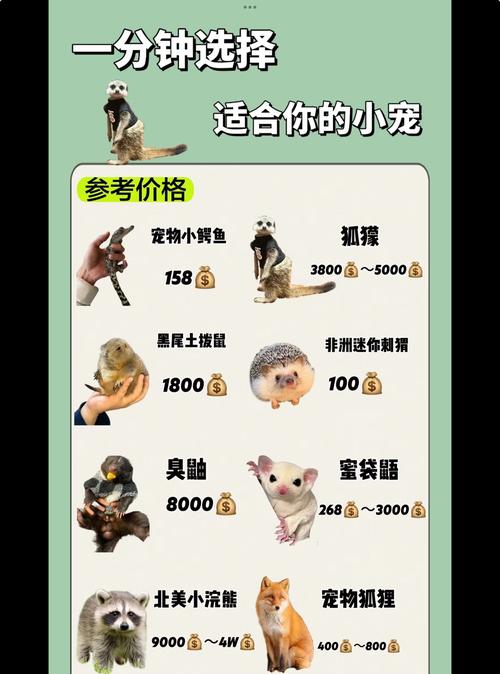 宠物捕捉大师番外下载地址合集:高清资源任你选