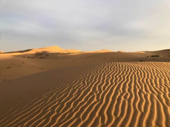 沙漠潜行者安卓版0.17更新:全新剧情等你体验