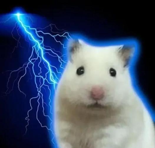 想知道异世界冒险最新版本是多少？这里有答案！