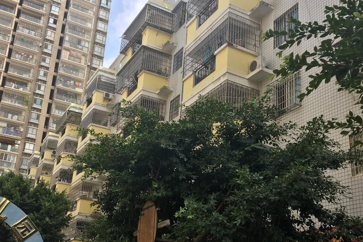 精英花园如何下载?简单方法教你快速入手!