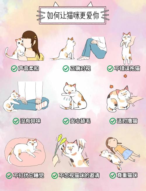 当你的猫咪游戏攻略：新手入门必看技巧分享