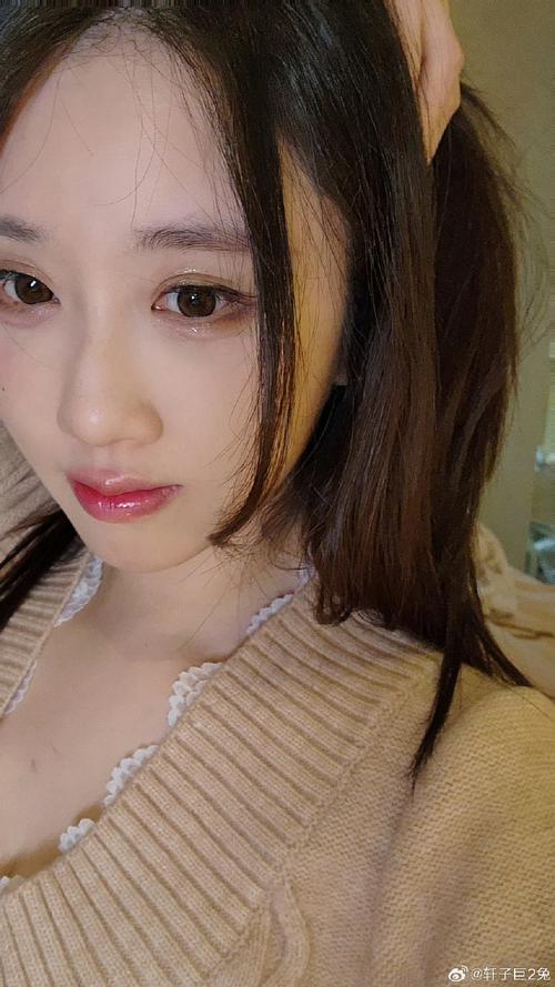 寻找轩子巨二兔官网?粉丝必备导航入口!