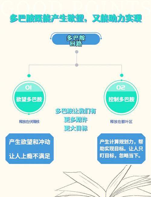欲望驱动官网:揭秘欲望背后的秘密,助你实现目标