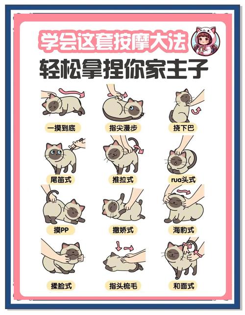 捡到千年猫游戏攻略：轻松解锁所有隐藏剧情方法