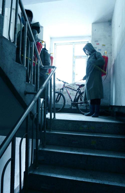 安全下载志愿少女官方正式版最新版：告别病毒和弹窗