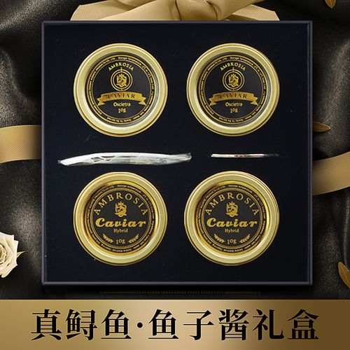 鱼子酱游戏攻略大全：新手快速上手技巧