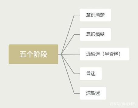 如何下载女学生鉴别学?分享正规安全的下载渠道