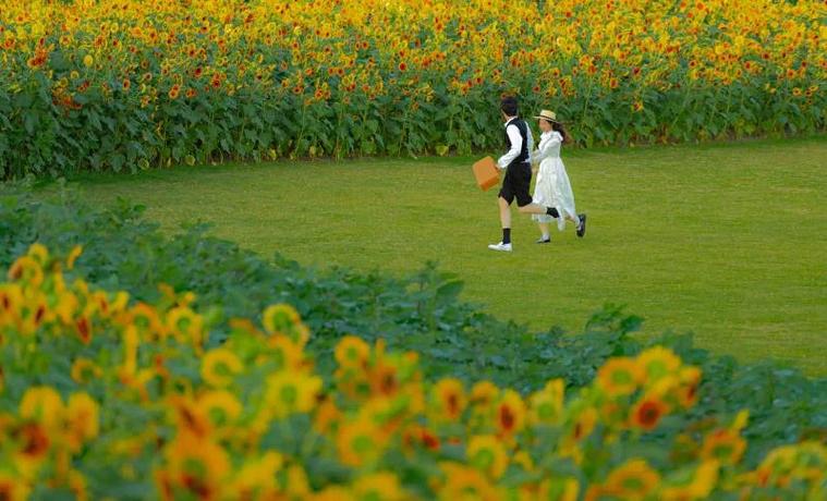 大人的童话剧场官方网站:不一样的童话,不一样的你