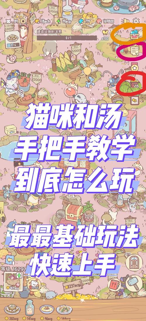 当你的猫咪游戏攻略：新手入门必看技巧分享