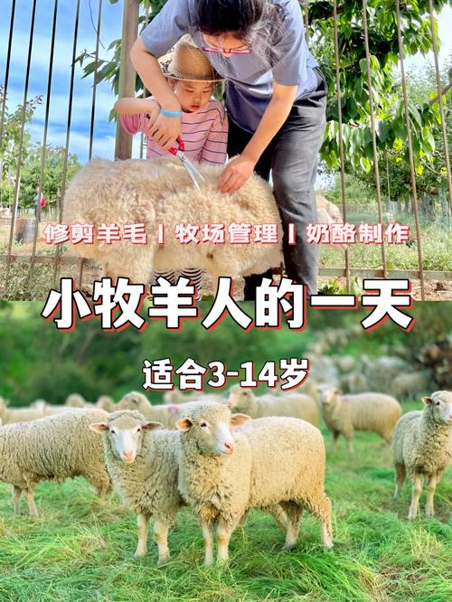 抵制诱惑!内有小羊官方正式版下载,安全下载最新版。