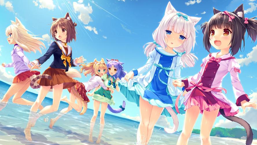 急需nekotto岛下载地址？这里提供多种下载方式