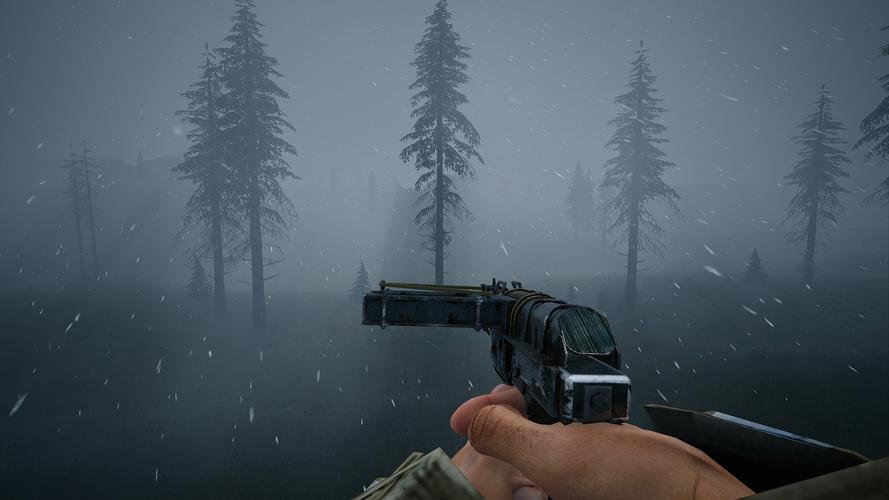 最后的希望官网入口：探索神秘游戏世界