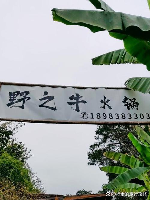 急需奴役的秘境更新地址?这篇攻略告诉你下载方法!