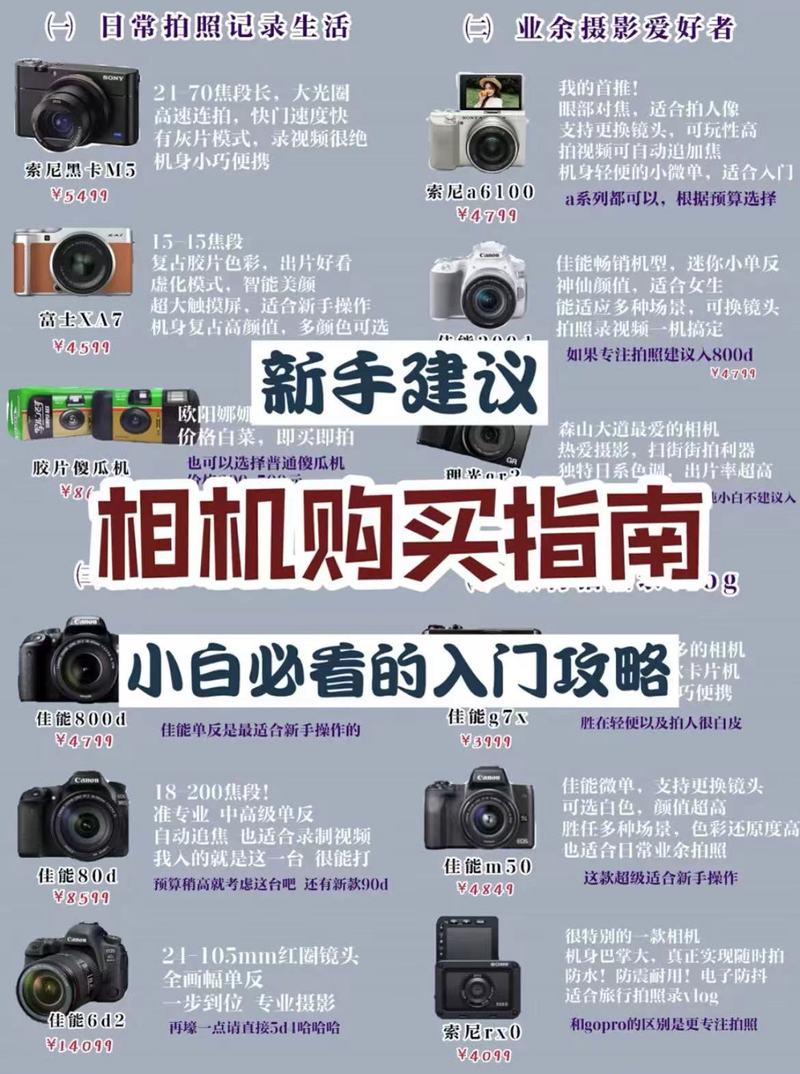 轻松通关摄影师的谎言：游戏攻略及技巧分享