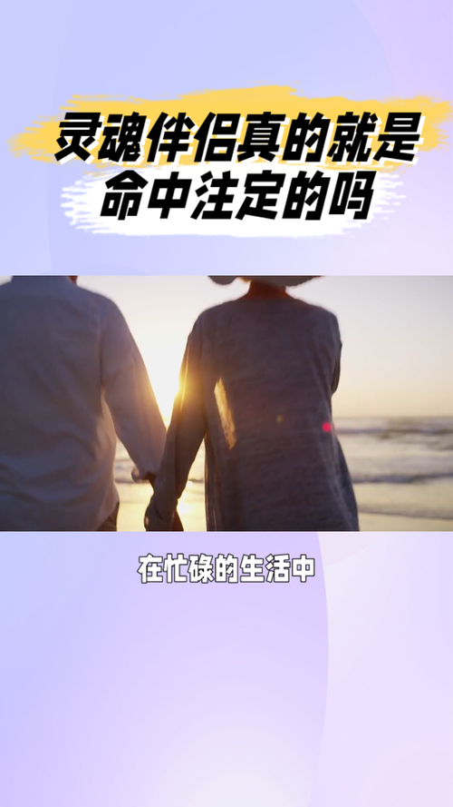 灵魂伴侣官网地址:快速找到你的命中注定,从此不再迷茫