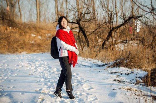 半老徐娘游戏体验:狗血剧情引人入胜的养成