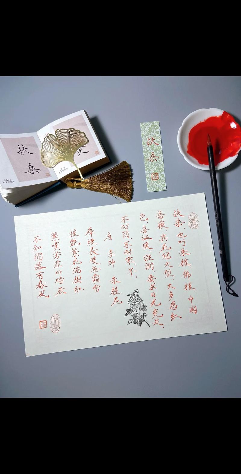 完整版庭树沐年视频大全:你想要的都在这里