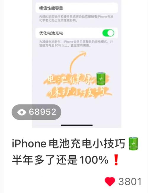 安卓用户必看:肉烂在锅里歌曲下载方法