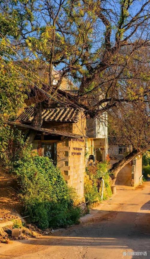 我的乡村生活官方网站:体验田园牧歌的悠然生活