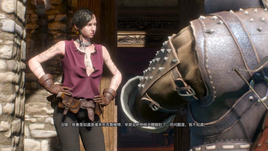 想玩巫师3狂猎魔改版？这里有你想要的下载资源！