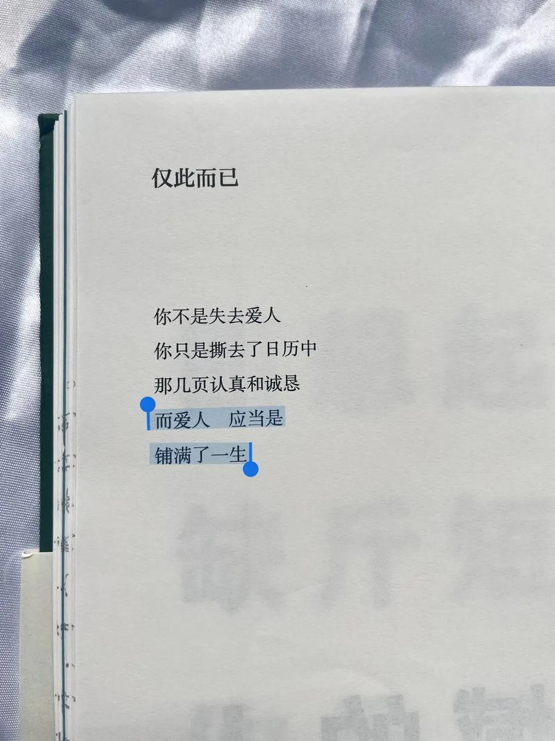 她是你的朋友吗?全方位游戏攻略与心得