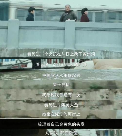 想知道摄影师的谎言更新地址?这里有你想要的