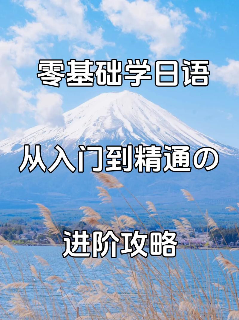 超详细圣塔县生活版本大全:从入门到精通的游戏攻略