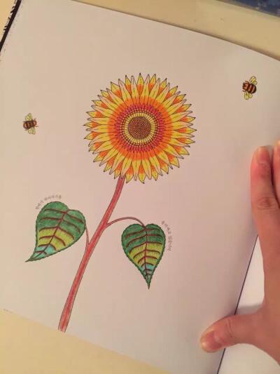 兔兔秘密花园最新进展：衍生作品和正统续作双双来袭！