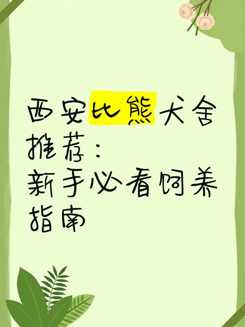 玩转变身夏日V1.37版本大全：新手入门必看指南