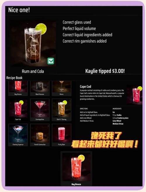 想玩调酒大师?官网入口,下载安装,一键搞定!