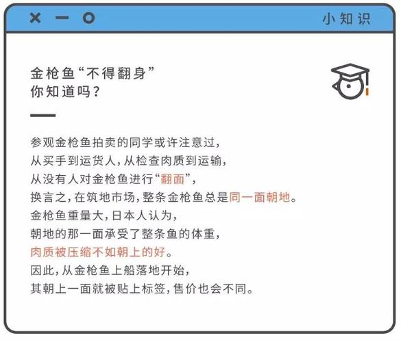 想玩转黑暗邻居?超能游戏攻略助你成为大神