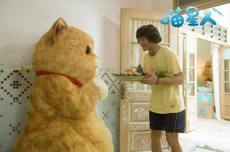 捡到千年猫杨过游戏攻略大全:快速上手变大神